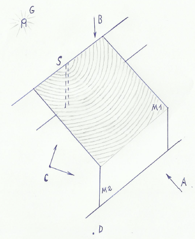 Membrana i obserwator